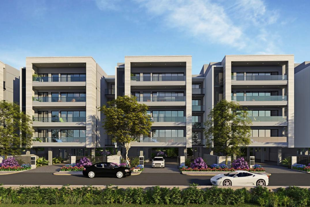 absolute Realty Zone News